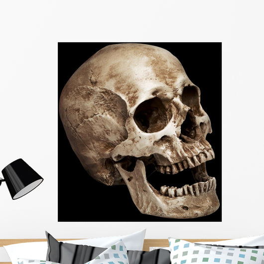 Three Fourths Skull Wall Mural