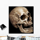 Three Fourths Skull Wall Mural