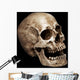 Three Fourths Skull Wall Mural