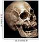 Three Fourths Skull Wall Mural