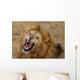 Roaring Lion Wall Mural