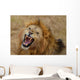 Roaring Lion Wall Mural