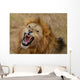 Roaring Lion Wall Mural