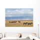Zebras and antelope Wall Mural