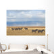 Zebras and antelope Wall Mural