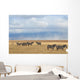 Zebras and antelope Wall Mural
