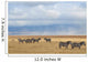 Zebras and antelope Wall Mural