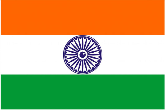 Indian Flag Wall Mural