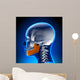 Female Mandible - Jaw Anatomy Wall Mural