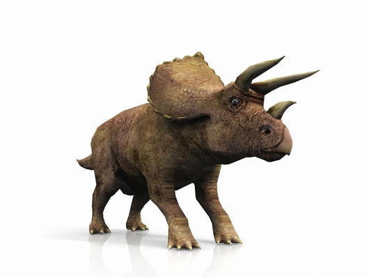 Triceratops Wall Decal