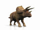 Triceratops Wall Decal