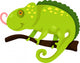cartoon iguana Wall Decal