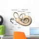 Human ear internal Wall Mural
