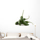 Serrano Chiles - Spiraled Wall Decal