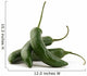 Serrano Chiles - Spiraled Wall Decal