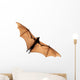 Flying fox bat Wall Decal