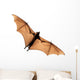 Flying fox bat Wall Decal