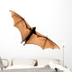 Flying fox bat Wall Decal