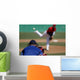 Baseball Pitcher Wall Mural