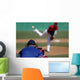 Baseball Pitcher Wall Mural