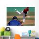 Baseball Pitcher Wall Mural
