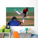 Baseball Pitcher Wall Mural