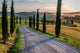 Sunset and Winding Road