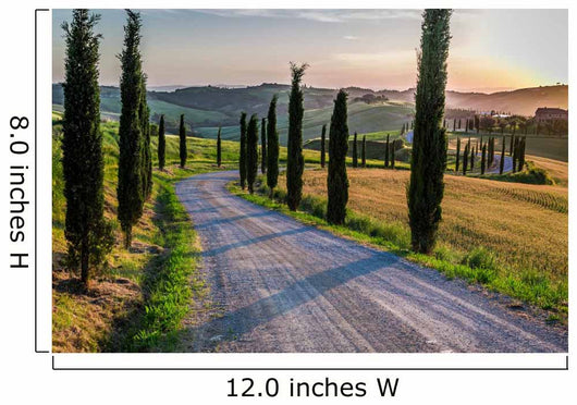Sunset and Winding Road