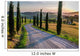 Sunset and Winding Road