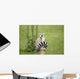 Lemur sitting on a log funny staring fixed gaze big eyes Wall Mural
