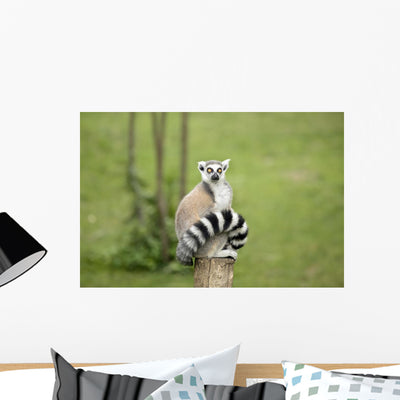 Lemur Sitting Log Funny Wall Mural shown on a wall