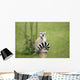 Lemur sitting on a log funny staring fixed gaze big eyes Wall Mural