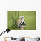 Lemur sitting on a log funny staring fixed gaze big eyes Wall Mural