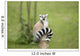 Lemur sitting on a log funny staring fixed gaze big eyes Wall Mural