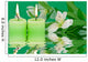 Spa Candles