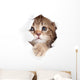 little cat looking up in paper side torn hole isolated Wall Decal