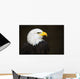 Bald headed eagle Wall Mural