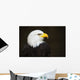 Bald headed eagle Wall Mural