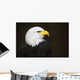 Bald headed eagle Wall Mural