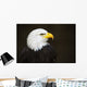 Bald headed eagle Wall Mural