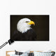 Bald headed eagle Wall Mural