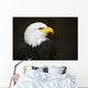 Bald headed eagle Wall Mural