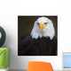 Bald headed eagle Wall Mural