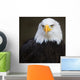 Bald headed eagle Wall Mural
