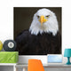 Bald headed eagle Wall Mural