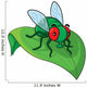 Fly Cartoon