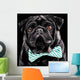 Black Pug with a bow tie Wall Mural