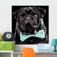 Black Pug with a bow tie Wall Mural