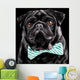 Black Pug with a bow tie Wall Mural