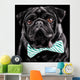 Black Pug with a bow tie Wall Mural